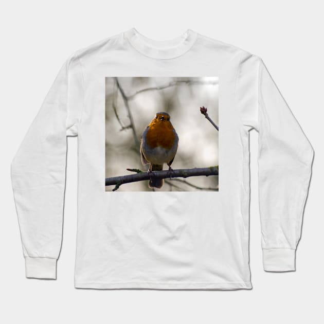 Robin Singing Long Sleeve T-Shirt by Nigdaw